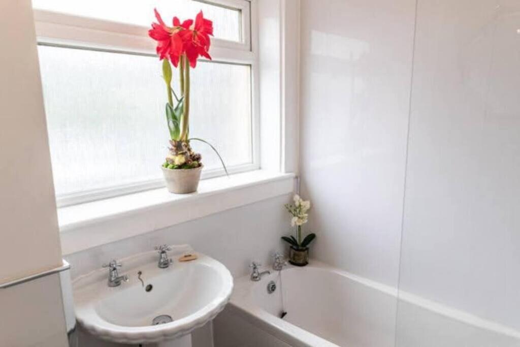 Cosy 1 Bed With Parking In City Centre Appartement Glasgow Buitenkant foto